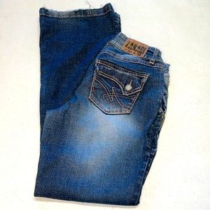 Zanadi Denim For Life Flairing Jeans